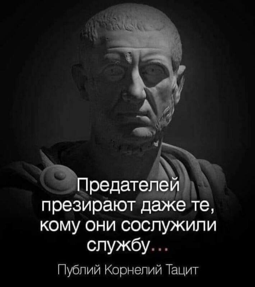 Цитата