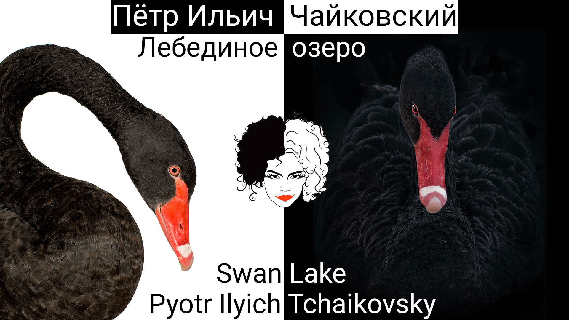 Цитата