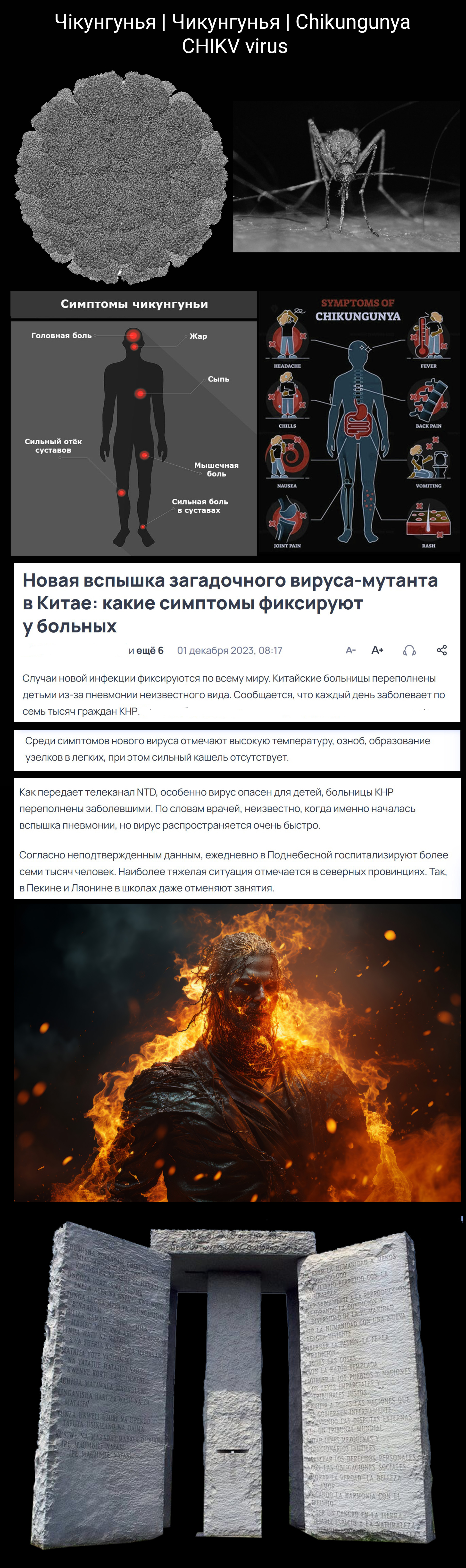 Цитата