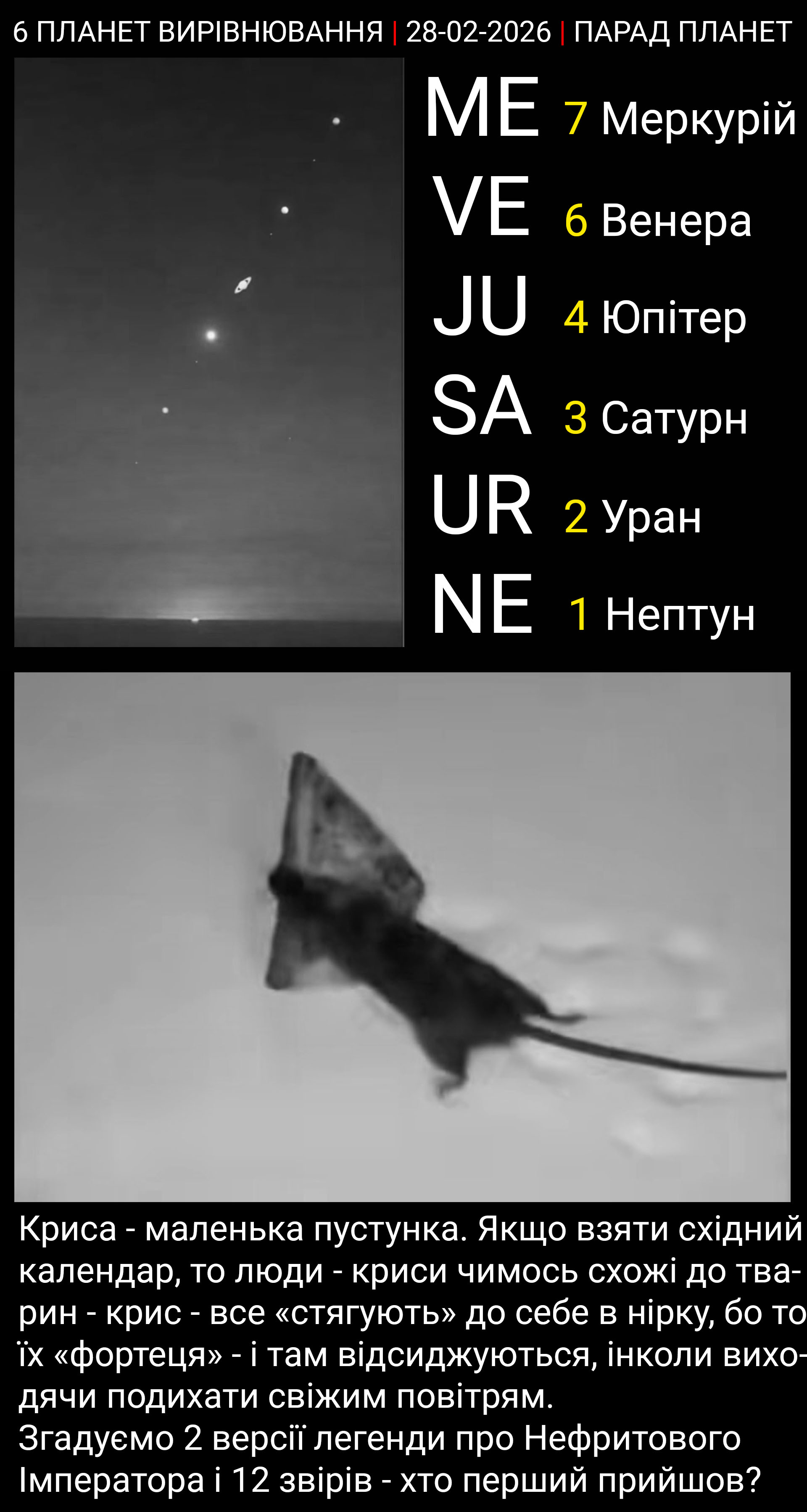 Цитата
