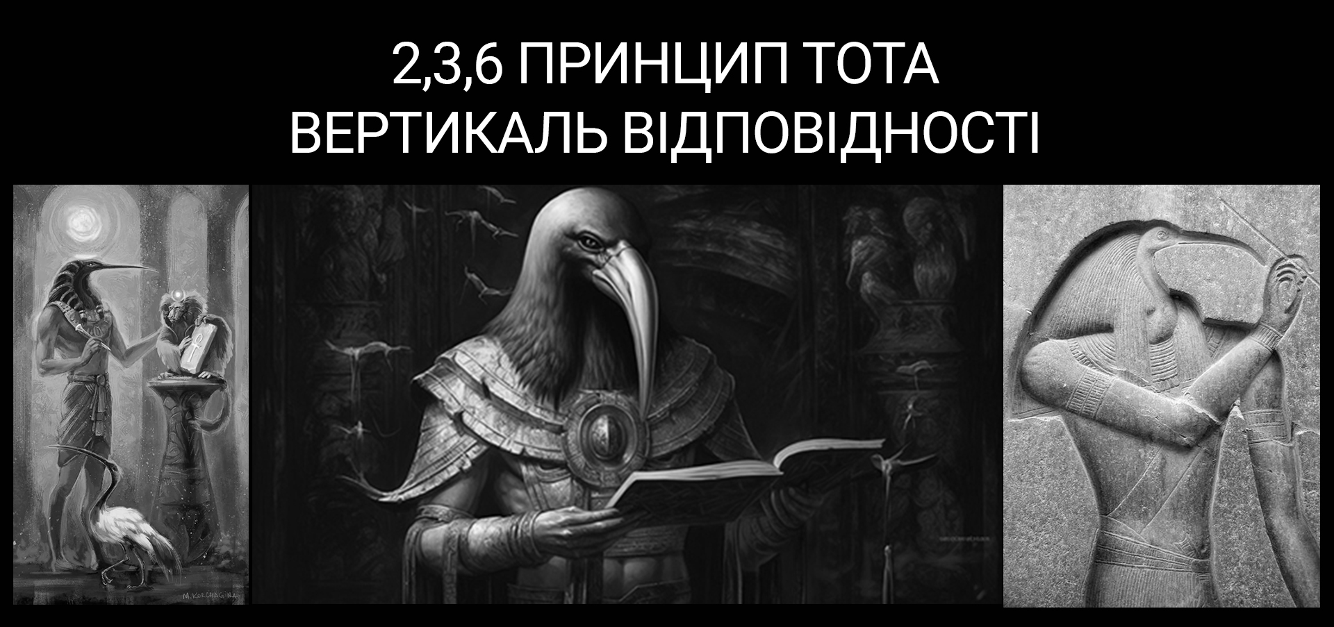 Цитата