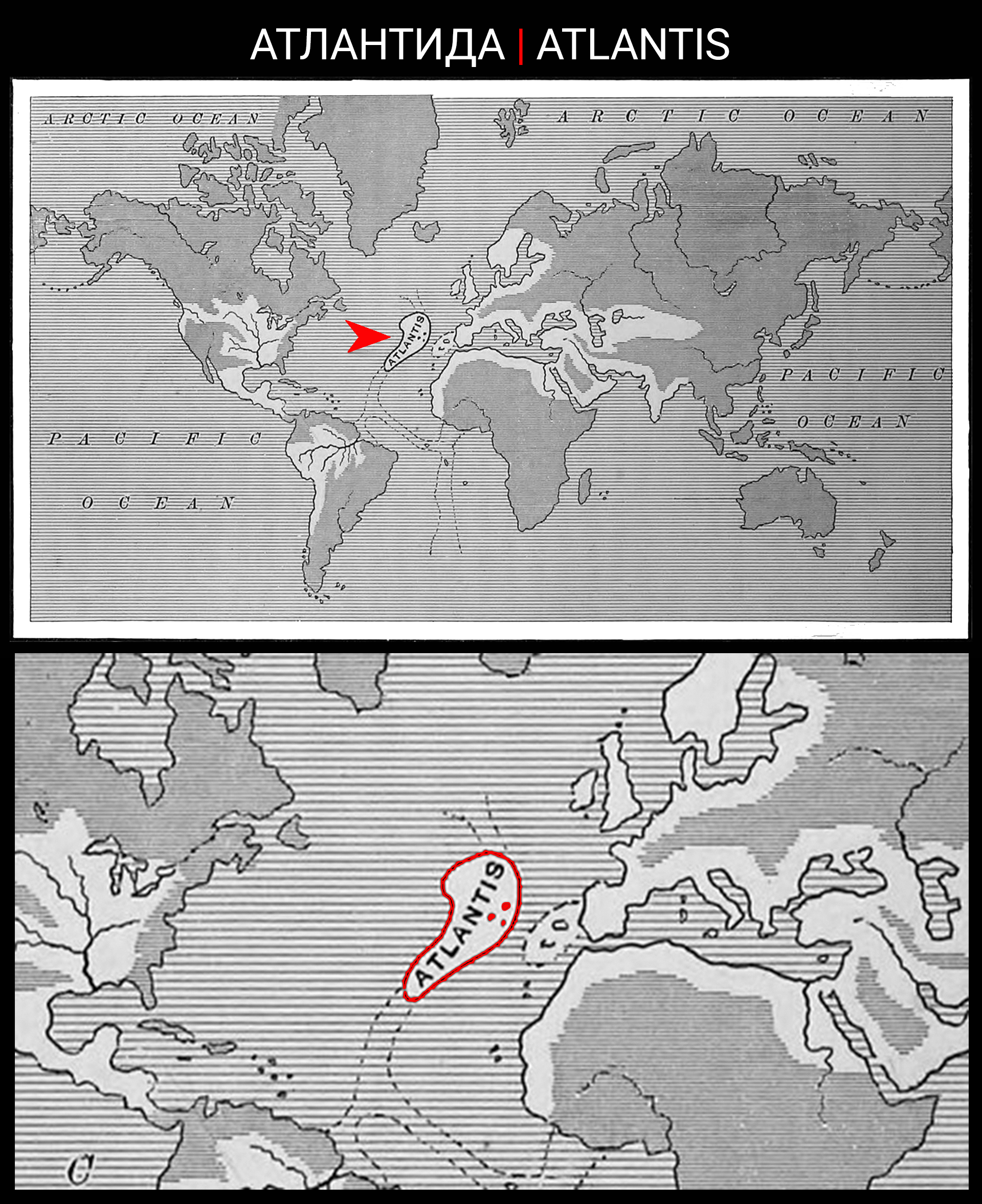 Цитата