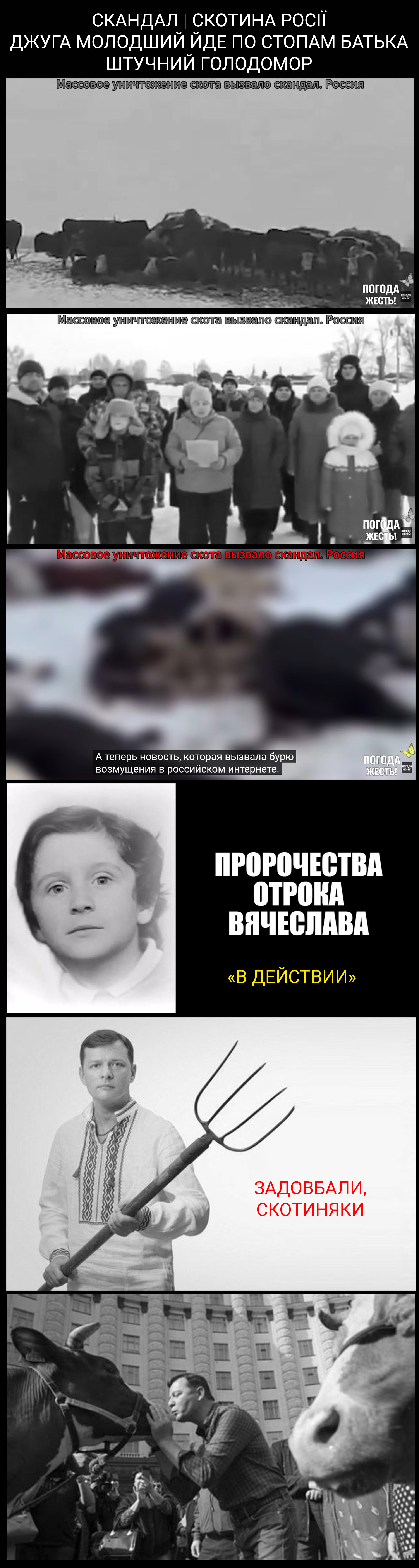 Цитата