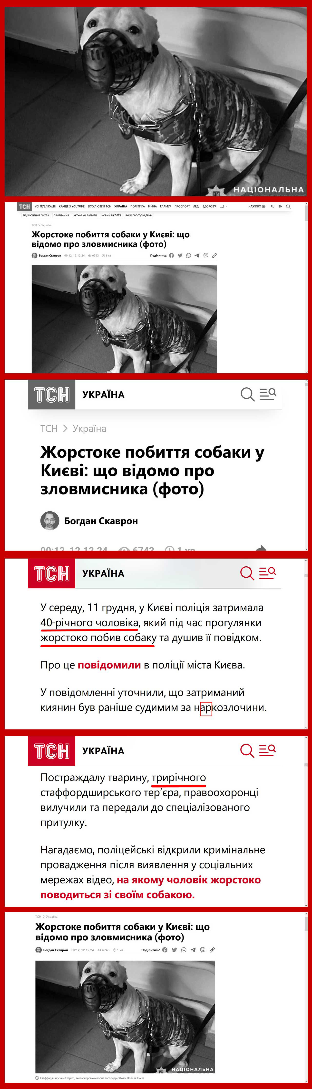 Цитата