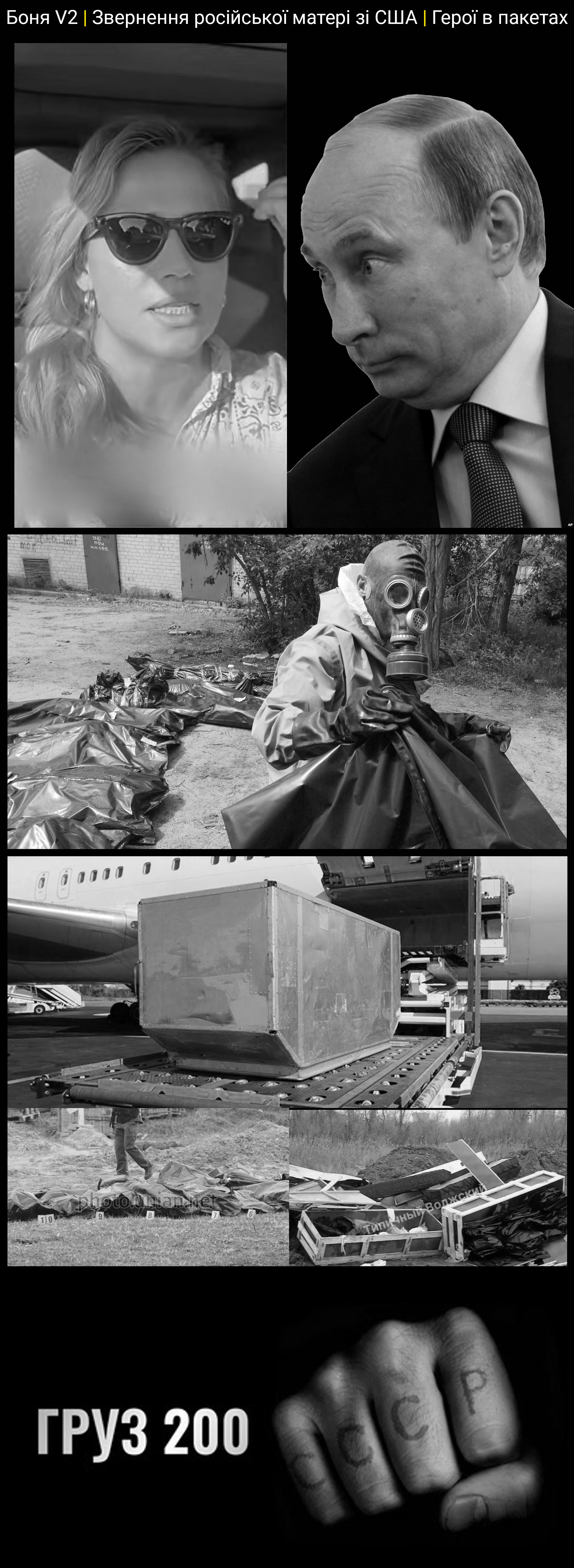 Цитата