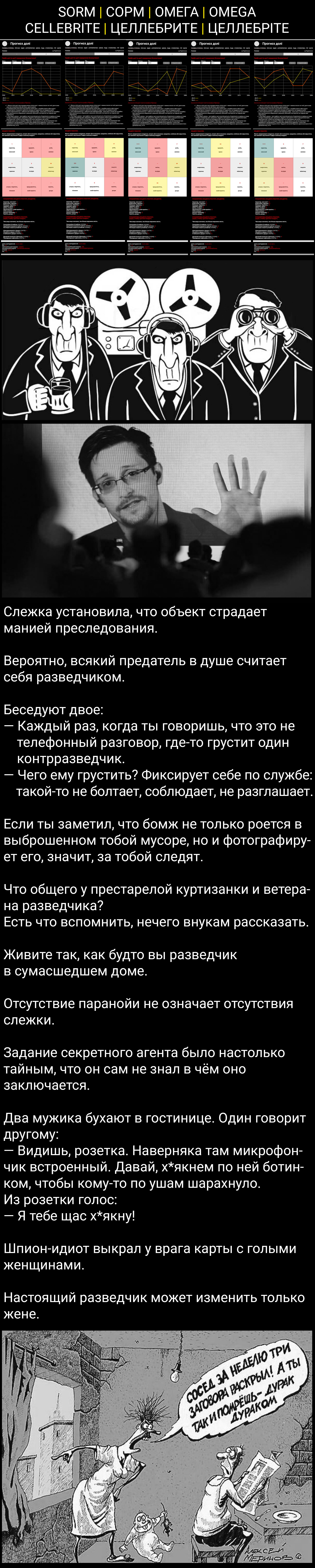 Цитата